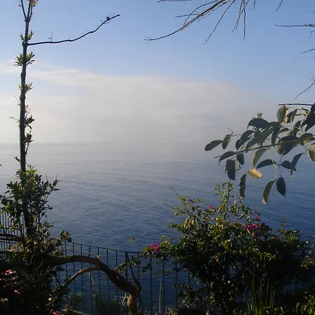 & Art Madeira Estalagem Caniço