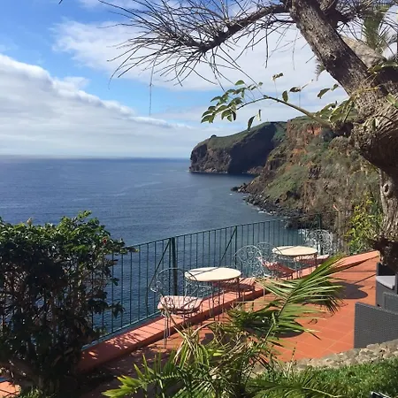 & Art Madeira كانيكو