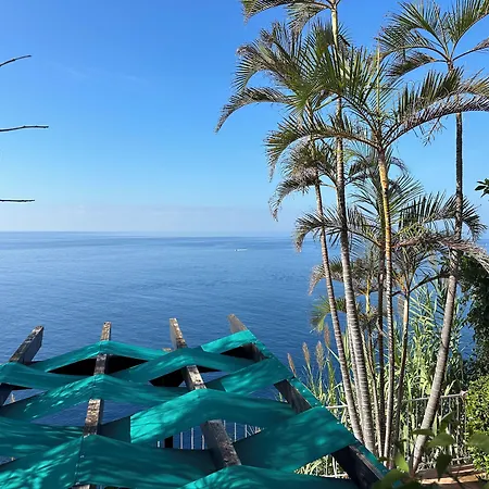 & Art Madeira بيت ريفي 3*