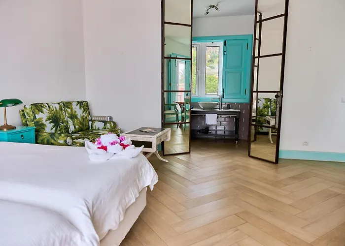 & Art Madeira Канису