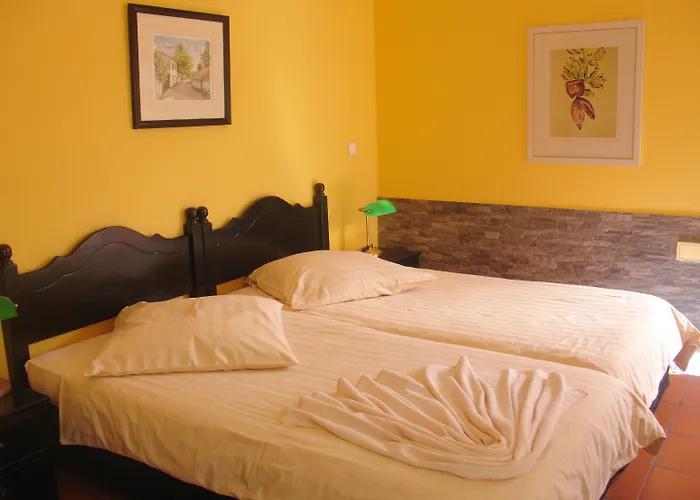 & Art Madeira 宾馆